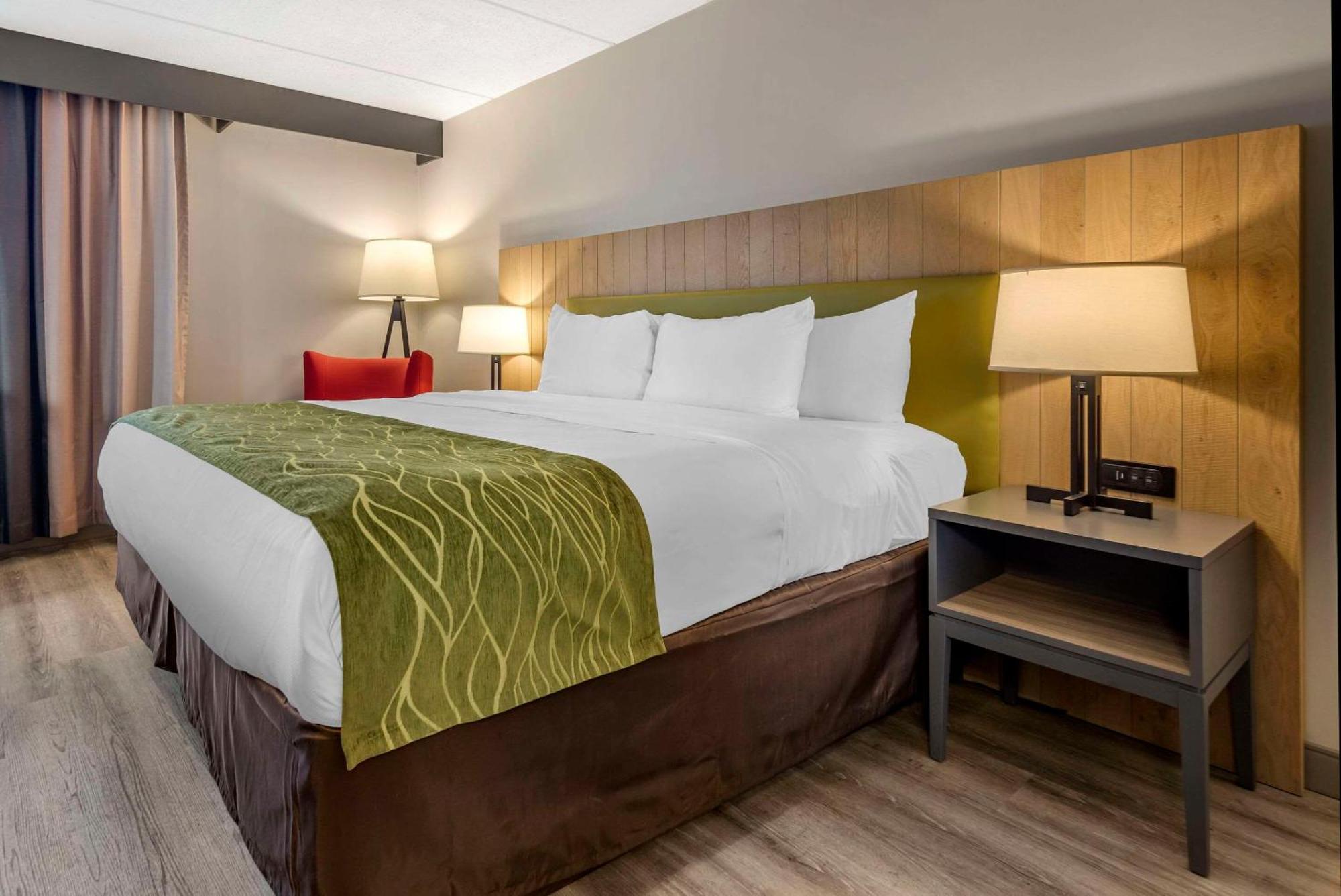 Comfort Inn & Suites Liverpool - Syracuse North Kültér fotó